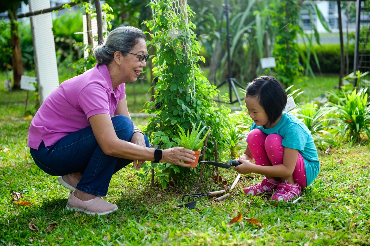 a grandmother doing gardening with her granddaughter