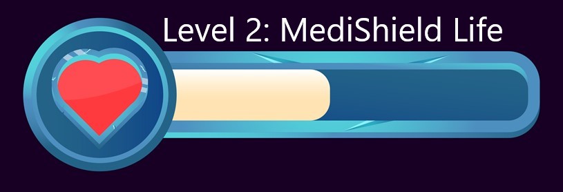 Level 2 MediShield Life health bar